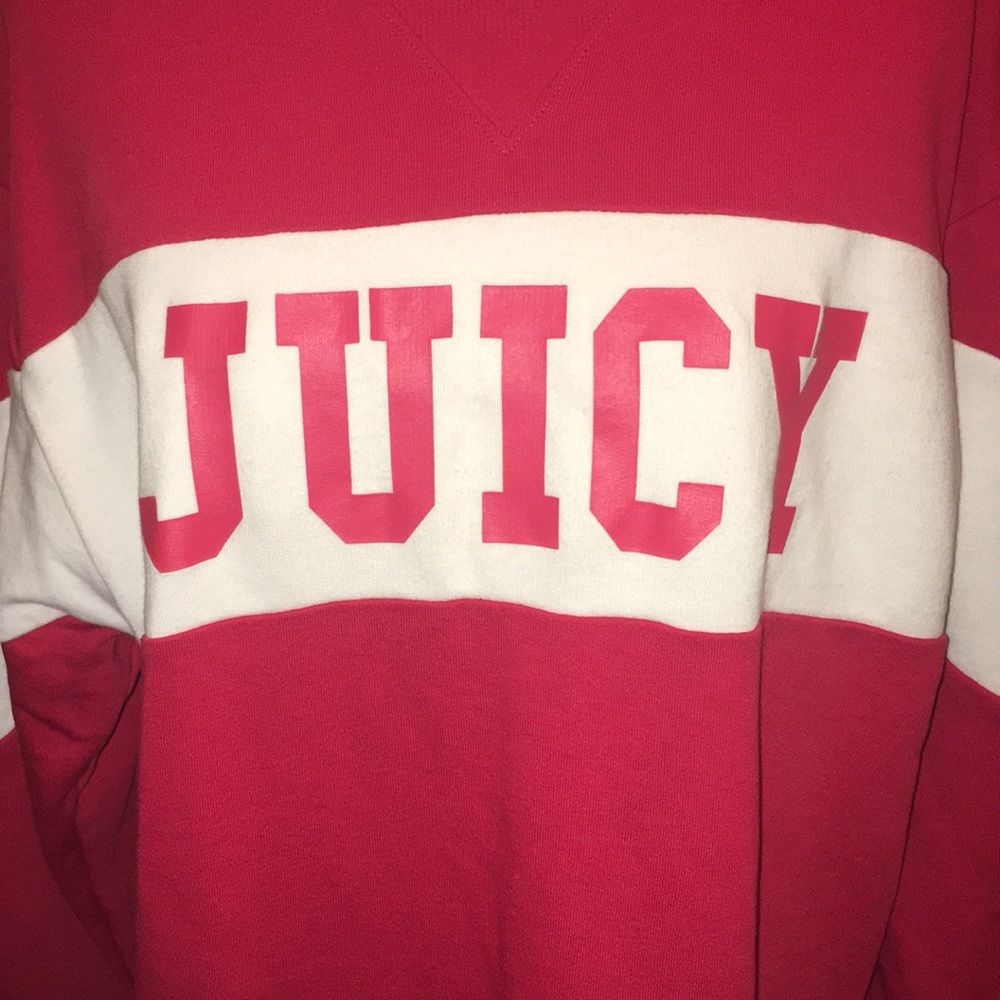 Juicy Couture Colorblock Sweatshirt in Large - Picture 7 of 16